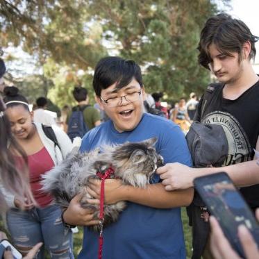 学生们在健康博览会上抚摸着一只猫