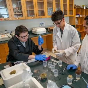 2 science students working with samples in a lab