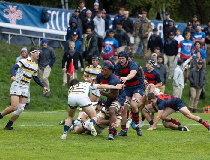 Men's Rugby